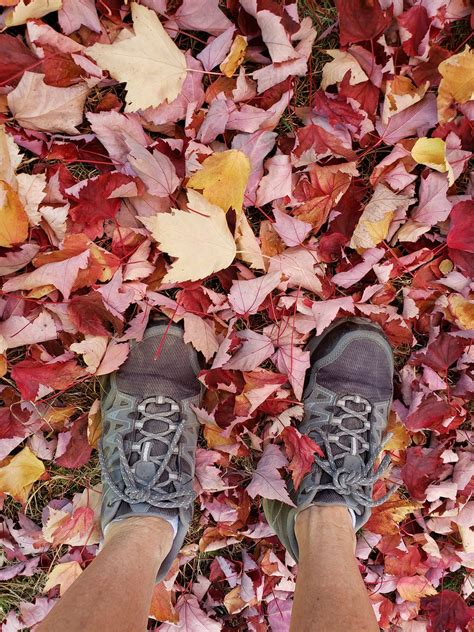 Fall Leaves Walking - Free photo on Pixabay - Pixabay