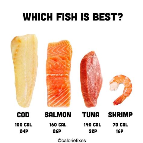 Cod - Salmon - Tuna - Shrimp Which is best?! There are many plant based ...