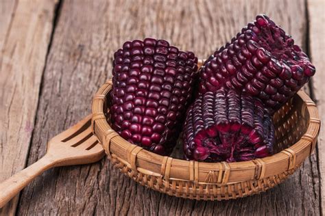 Researchers learn how to maximize the benefits of purple corn | LaptrinhX / News