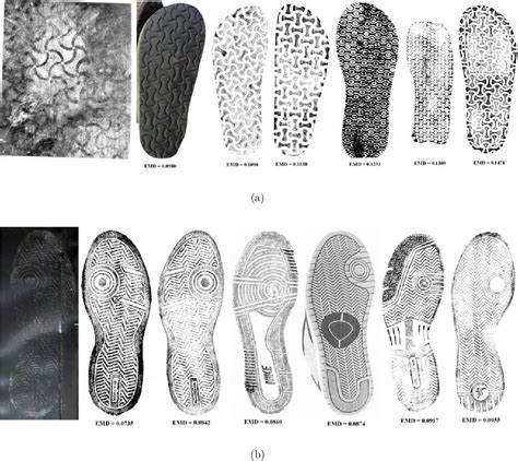 [PDF] Analysis of Footwear Impression Evidence Analysis of Footwear Impression Evidence ...