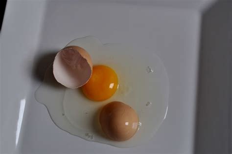 Free picture: chicken, egg, broken