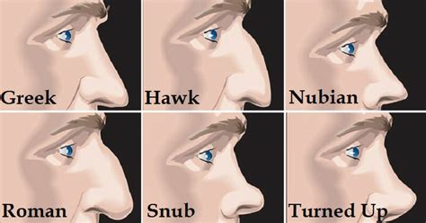 What Is The Most Attractive Nose Shape | Most Attractive Nose Shape ...