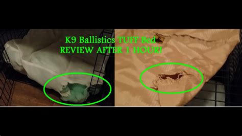 K9 Ballistics Chew Proof TUFF Bed REVIEW AFTER 1 HOUR - YouTube