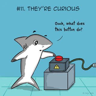"Oh, Dakuwaqa!" - The Shark comics and cartoons: 13 Reasons Why (I Love Sharks)
