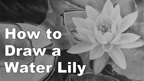 how to draw flowers water lily time lapse drawing tutorial | Flower drawing, Flower drawing ...