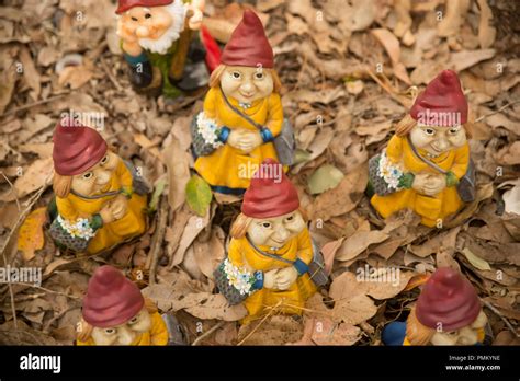 Gnomesville before the Great Gnomesville Flood of 2018 Stock Photo - Alamy