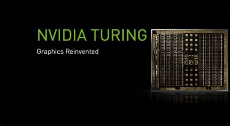 Nvidia Unveils Nvidia Turing GPUs for the Professional Graphics Market ...