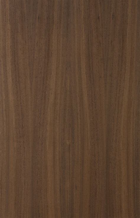 Bugged Oak | Veneer texture, Walnut texture, Wood texture