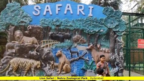 Lion Safari Ride in Nehru Zoological Park , Hyderabad - YouTube