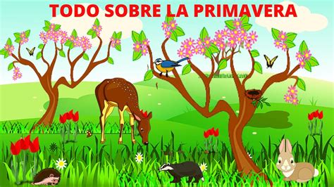 LA PRIMAVERA PARA NIÑOS/ TODO SOBRE LA PRIMAVERA/ En Español - YouTube