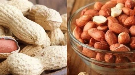 know the benefits of eating peanuts how many peanuts is too much | 'ನೆನೆಸಿದ ಕಡಲೆಬೀಜ' ಆರೋಗ್ಯಕೆ ...