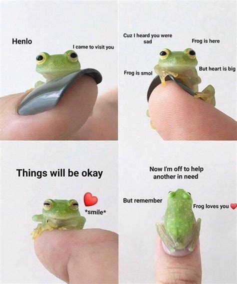 Pin by Isabelle 🤍 on Memes in 2020 | Cute animal memes, Cute frogs ...