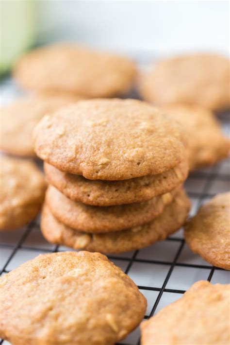 Quaker Oats Oatmeal Cookie Recipe With Applesauce | Bryont Blog