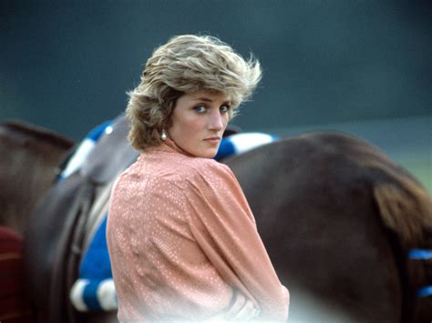 Bbc Interview Diana / Prince William welcomes Princess Diana BBC interview inquiry : Diana ...