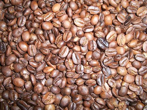 Coffee Beans Free Stock Photo - Public Domain Pictures