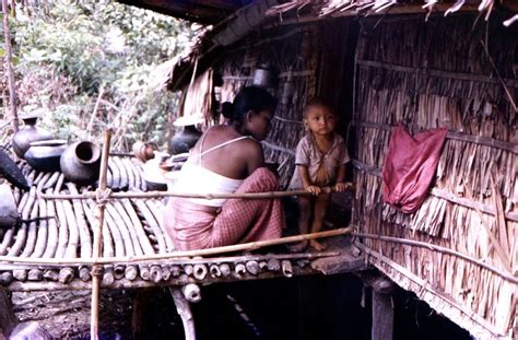 Free picture: burmese, buddhist, woman, caring, child, Patuakhali, district, Marmas, village