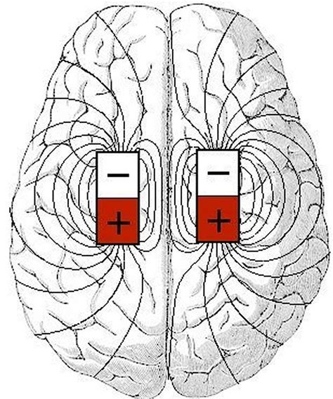 New Theory on the Physics of Consciousness Says: It's the Magnetic ...