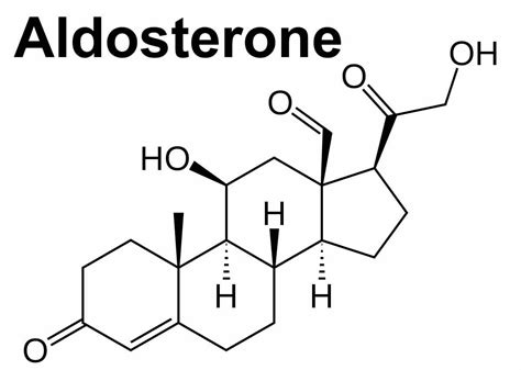 Aldosterone hormone function, production, causes of high or low aldosterone