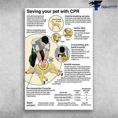 Saving Your Pet With CPR Cardiopulmonary Resuscitation - FridayStuff