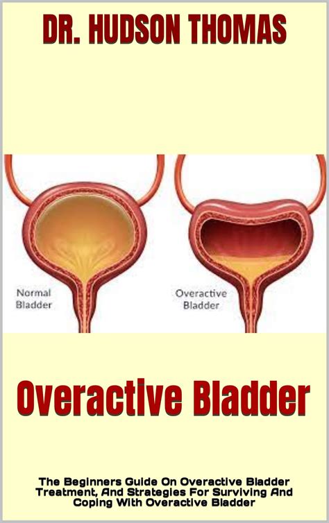 Sleeping Positions For Overactive Bladder In The Evening