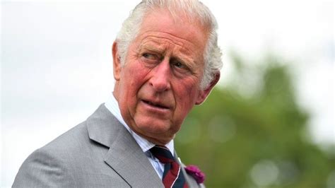 Prince Charles' warning over survival of small farms - BBC News