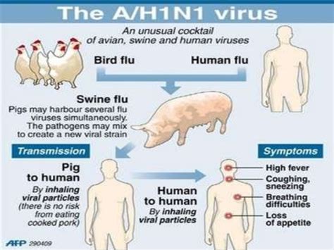 H1N1 - INSIGHTS IAS - Simplifying UPSC IAS Exam Preparation