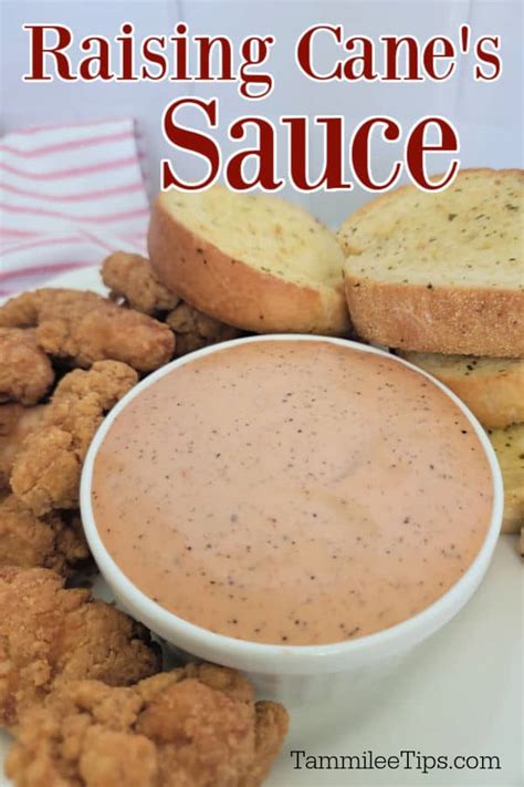 Copycat Raising Cane's Sauce Recipe - Tammilee Tips