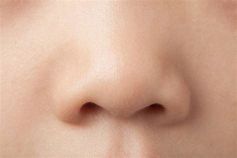 5,700+ Child Nose Closeup Stock Photos, Pictures & Royalty-Free Images - iStock