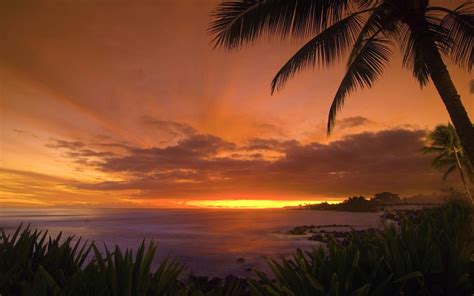 Tropical Island Sunset Wallpaper - WallpaperSafari