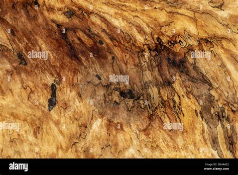 Ash wood grain hi-res stock photography and images - Alamy