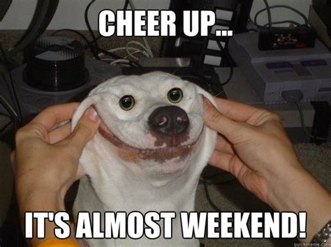 Cheer up... It's almost weekend! - forced happy dog - quickmeme