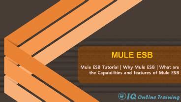 PPT – Mule ESB Tutorial | Mulesoft ESB | Mule ESB Certification & Training PowerPoint ...