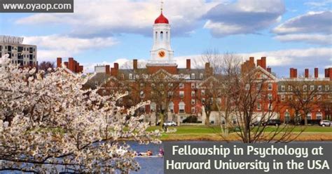 Fellowship in Psychology at Harvard University - OYA Opportunities | OYA Opportunities