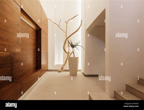 Entrance in modern house Stock Photo - Alamy