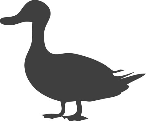 Duck Bird Animal - Free vector graphic on Pixabay