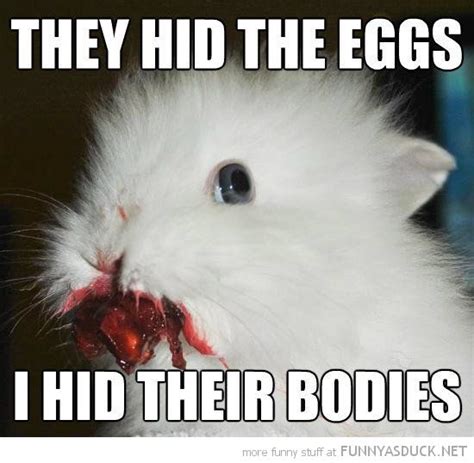 They Hid The Eggs | Rabbit eating, Cute animals, Animals