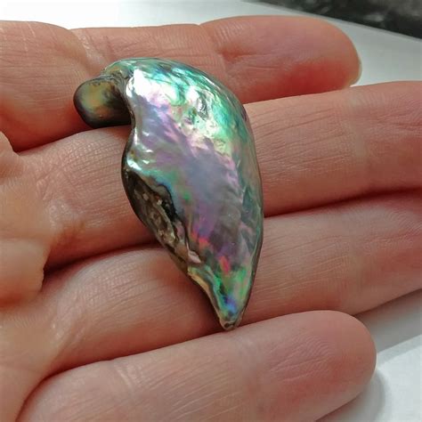 Rare Abalone Pearl | ubicaciondepersonas.cdmx.gob.mx