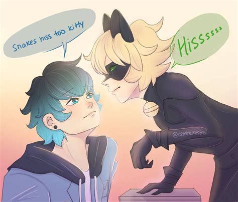 Luka Vs Adrien by Citrine-Kestrel on DeviantArt | Çizimler, Kara kedi, Çizim