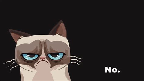 Grumpy Cat Wallpapers - Top Free Grumpy Cat Backgrounds - WallpaperAccess