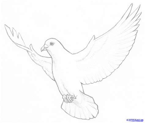 Dove Flying Drawing at GetDrawings | Free download