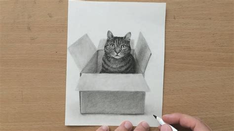 How to Draw a Cat in a Box - Charcoal Pencil Sketch - YouTube