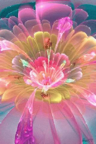 Flower Gif Images Free Download - Floral Flower Gif | Bodenuwasusa