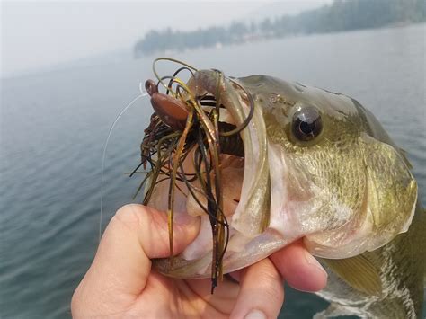 The Best Lures to Use When Bass are Feeding on Crawfish – MONSTERBASS