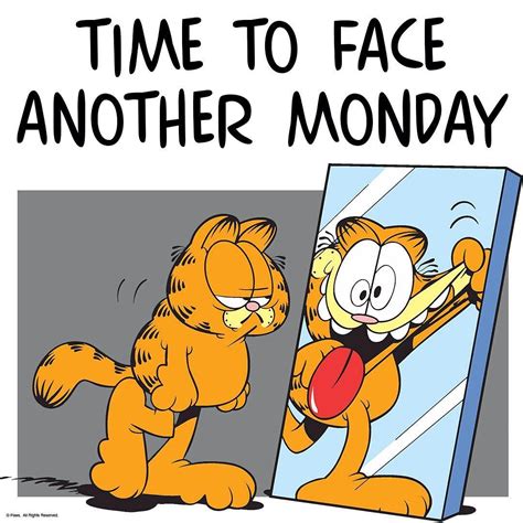 4,531 Likes, 15 Comments - Garfield (@garfield_real) on Instagram: “Might as well face it. # ...