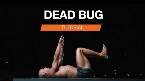 Bodyweight Exercise For Lower Back Pain | Dead Bug Tutorial - YouTube