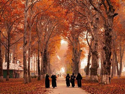 Enjoy your Autumn in Kashmir