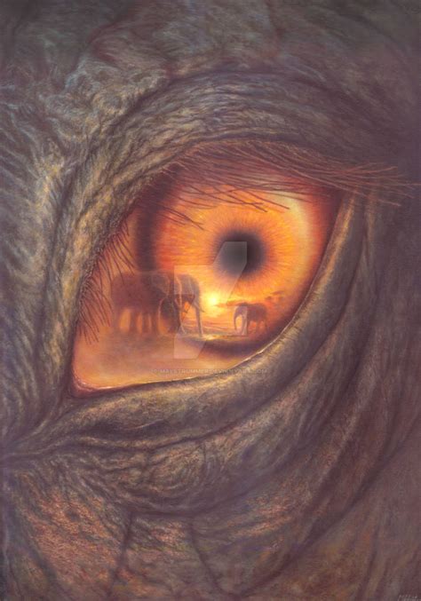 elephant eye by malstrummer on DeviantArt