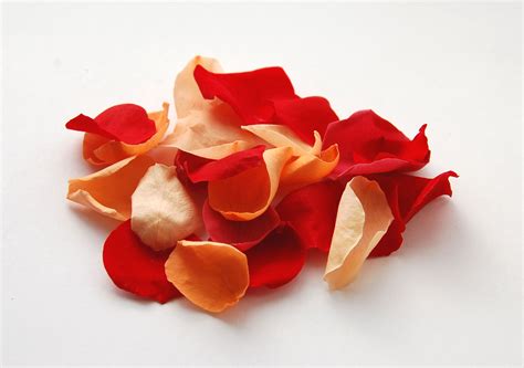 Red and orange autumnal rose petals - perfect wedding confetti! Flower Petal Confetti, Wedding ...