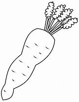 Carrot coloring Page  Free Printable Coloring Pages sketch template
