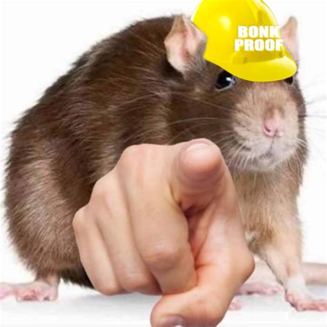 Daily Rat Meme #3 : r/ratmemes